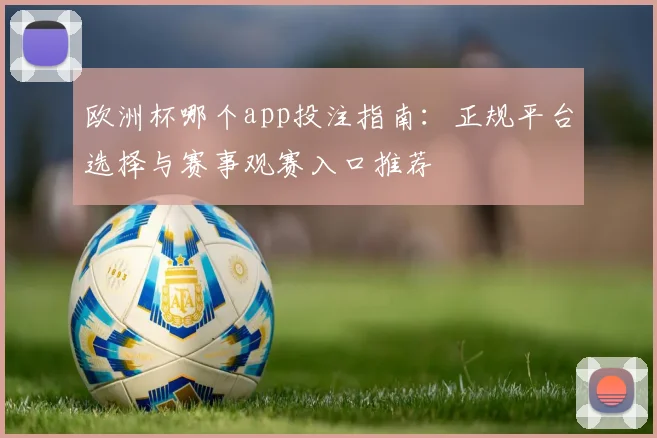 欧洲杯哪个app投注指南：正规平台选择与赛事观赛入口推荐