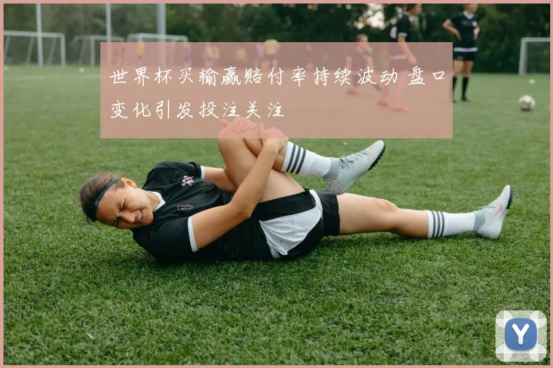 世界杯买输赢赔付率持续波动 盘口变化引发投注关注